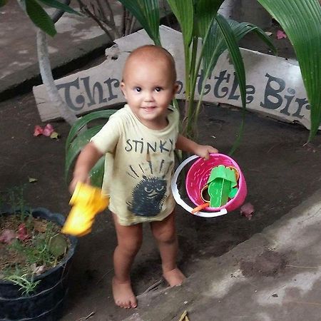 Three Little Birds Homestay Gili Trawangan Buitenkant foto