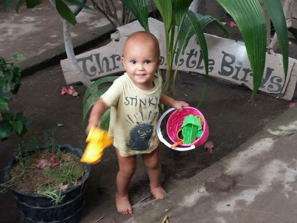 Three Little Birds Homestay Gili Trawangan Buitenkant foto